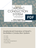 Cardiac Conduction System Overview