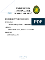 Monografia Detergente Ecologico