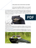 Animales en Peligro de Extinción de Perú