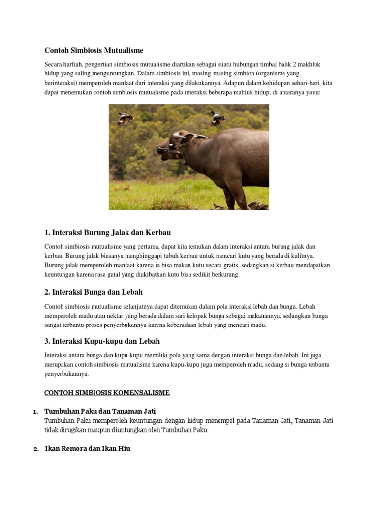 Contoh Simbiosis Mutualisme