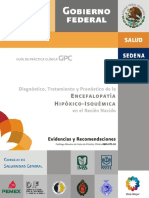 IMSS-371-10 GER Encefalopatxa Hipxxico Isquxmica PDF