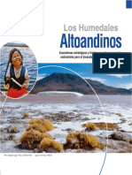 08IGT_humedales_altoandinos.pdf