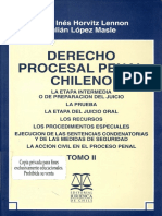 Horvitz, Maria Ines & Lopez, Julian - Derecho Procesal Penal Chileno Tomo II.pdf