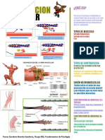 Contraccion Muscular Cartel