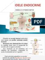 370858568-Glandele-Endocrine.pptx
