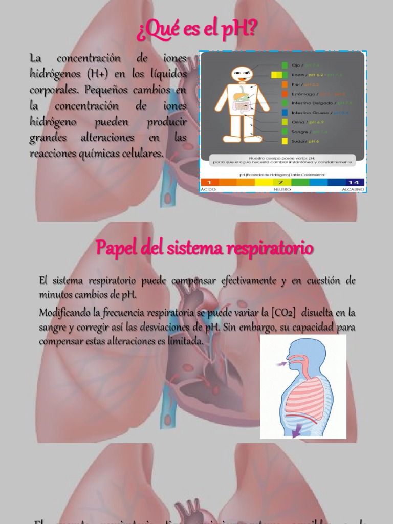 Regulación Del PH Por Medio de