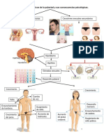 Los cambios de la pubertad: consecuencias físicas y psicológicas