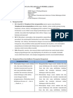 RPP Cause and Effect