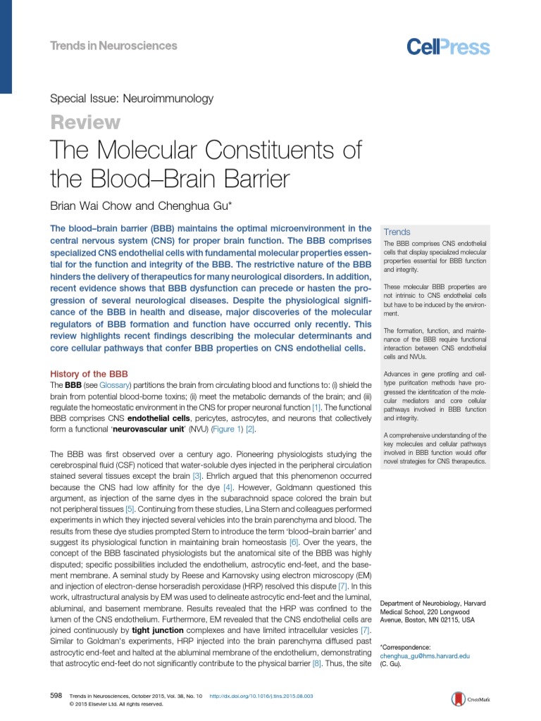 The Molecular Constituents of The BloodBrain Barrier | PDF ...