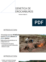 2.0 Genetica de Hidrocarburos PDF