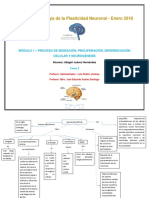 Tarea 2 - Fisiología de La Plasticidad Neuronal - Abigail Juarez Hernandez