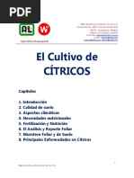 El-Cultivo-de-CÍTRICOS