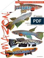 Discus Fish, PDF,  Rainforest