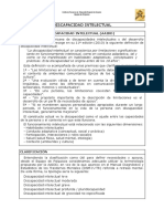 discapacidad_definicion.pdf
