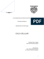 Regulación del ciclo celular.pdf