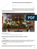 Plantas Colgantes de Exterior para Decorar Balcones Y Ventanas