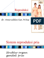 Sistem Reproduksi