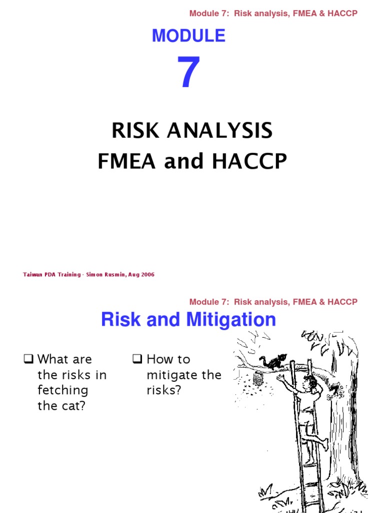 Risk Analysis in FMEA & HACCP Training | PDF | Risk Management | Hazard ...