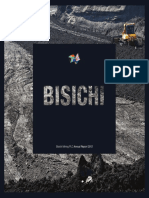Bisichi Mining PLC Annual Report 2012