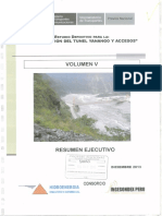 volumen V resumen ejecutivo.pdf