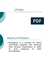 PERCEPTION.pptx