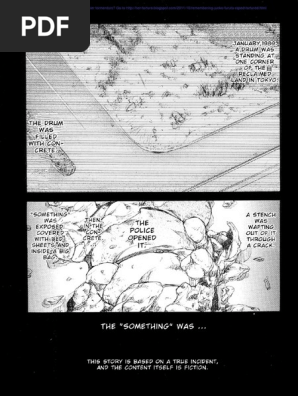 Junko Furuta Tragedy PDF 