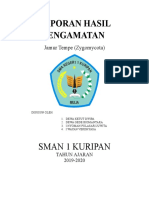 Laporan Hasil Pengamatan