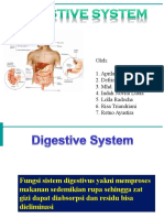 Traktus Digestivus