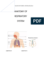 Anatomy of Respiratory System 