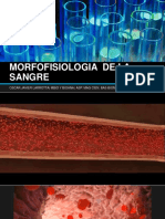 Morfofisiologia de La Sangre