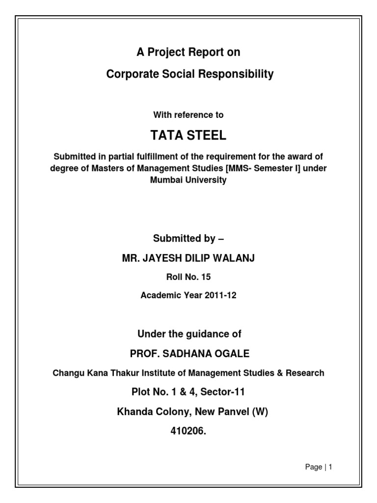 Tata Steel CSR Project Report | PDF | Corporate Social Responsibility ...