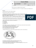 Teste Seus Conhecimento - 2em Fotossíntese-Hormoniovegetal