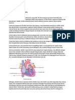 2B. Sistem Biologi Manusia