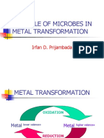 The Role of Microbes in Metal Transformation: Irfan D. Prijambada