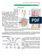 10 - Fisiologia Renal.pdf