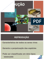 Reprodução - Geral e Humana