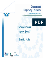 Adaptaciones curriculares Emilio Ruiz