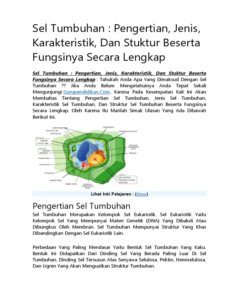 Wow 16 Gambar  Sel  Tumbuhan Beserta Fungsinya 