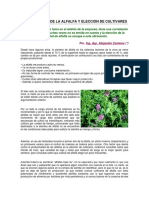 Productividad Alfalfa