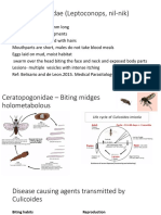 Ceratopogonidae (Leptoconops, nil-nik).pptx
