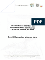 lineamientos_influenza_2018-2019_0474167001548170294