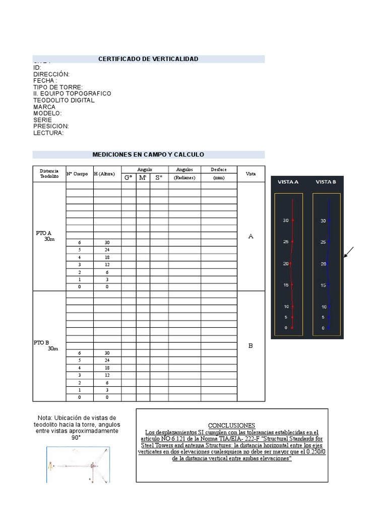 Formato Protocolo de Verticalidad | PDF