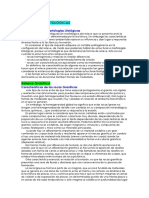 Tema 9 Morfologias litologicas. - copia.pdf