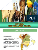 Geografia PPT - Pantanal