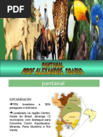 Geografia PPT - Pantanal