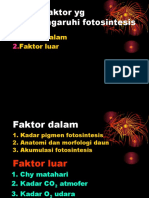 Fotorespirasi Dan Faktor Faktor Fisiologis