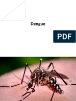 Dengue - 2016