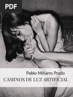 CAMINOS DE LUZ ARTIFICIAL (I-XX) - Pablo Miñarro Prado | PDF ...