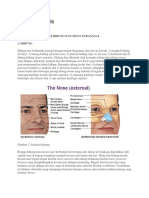 Rinosinusitis Doc 2