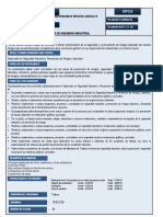 Diplomado en Seguridad Industrial y Prevencion de Riesgos Laborales Modalidad A Distancia PDF